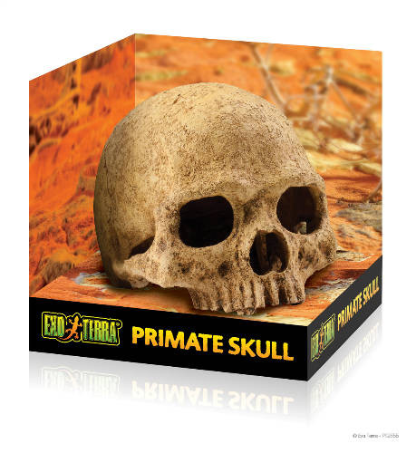 Exo Terra Primate Skull  Főemlős Koponya Formájú Búvóhely Hüllők részére 12cm