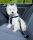 Trixie Car Harness - biztonsági öv kutyák részére 30-60cm/20mm S