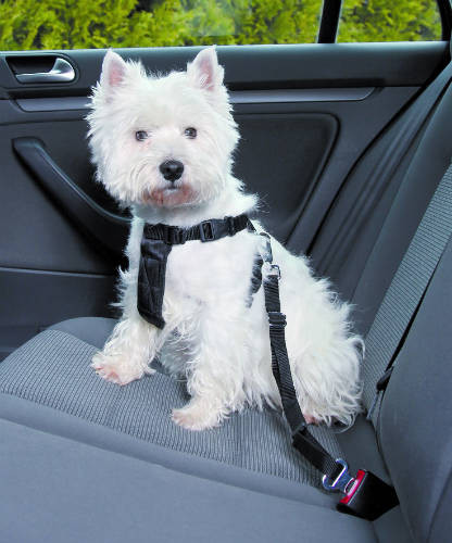 Trixie Car Harness - biztonsági öv kutyák részére 30-60cm/20mm S