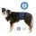 Trixie Pelenka fiú kutyáknak S-M 37-45cm kék