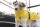 Trixie Dog Vimy Esőkabát sárga M 45cm