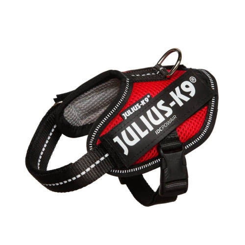 Julius-K9 IDC Powerhám piros 2XS