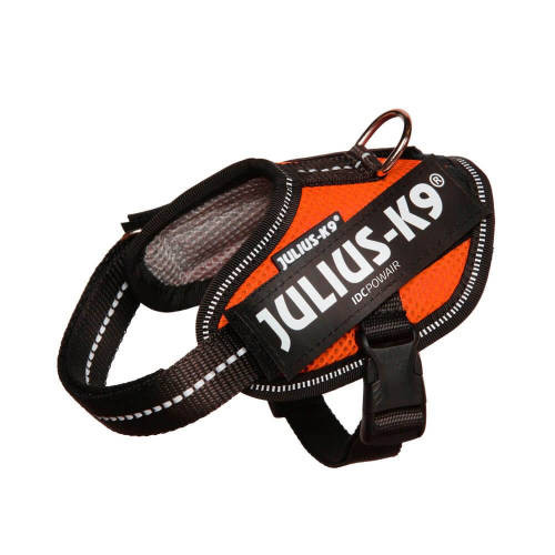 Julius-K9 IDC Powerhám narancs 2XS