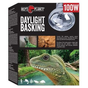 Reptil Basking Természetes Nappali Fényt Sugárzó Izzó 100W