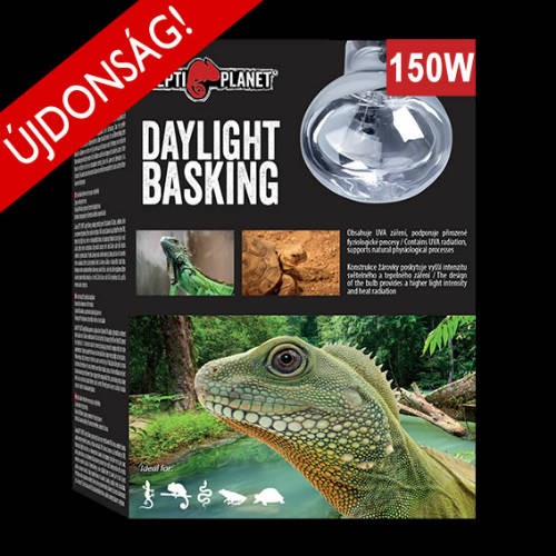 Reptil Basking Természetes Nappali Fényt Sugárzó Izzó 150W